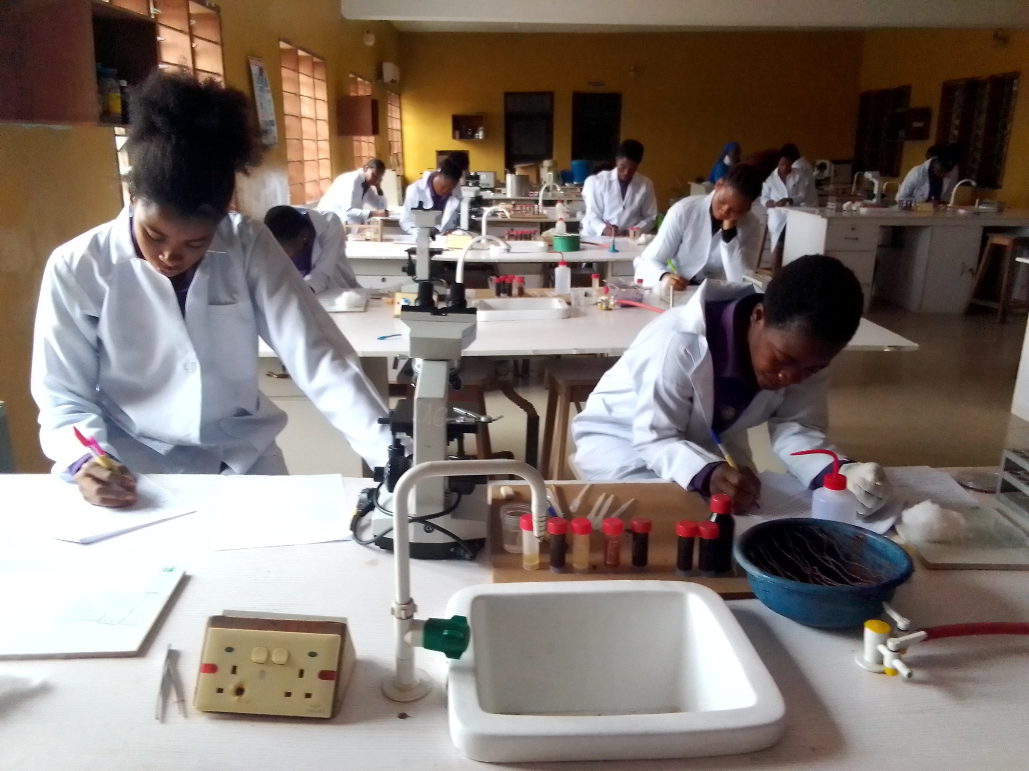DDL laboratory learning environment